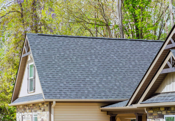 Best Solar Panel Roofing Installation  in West Miami, FL